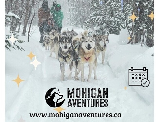 Journée portes ouvertes