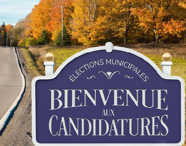 Résultat de l'élection 2025